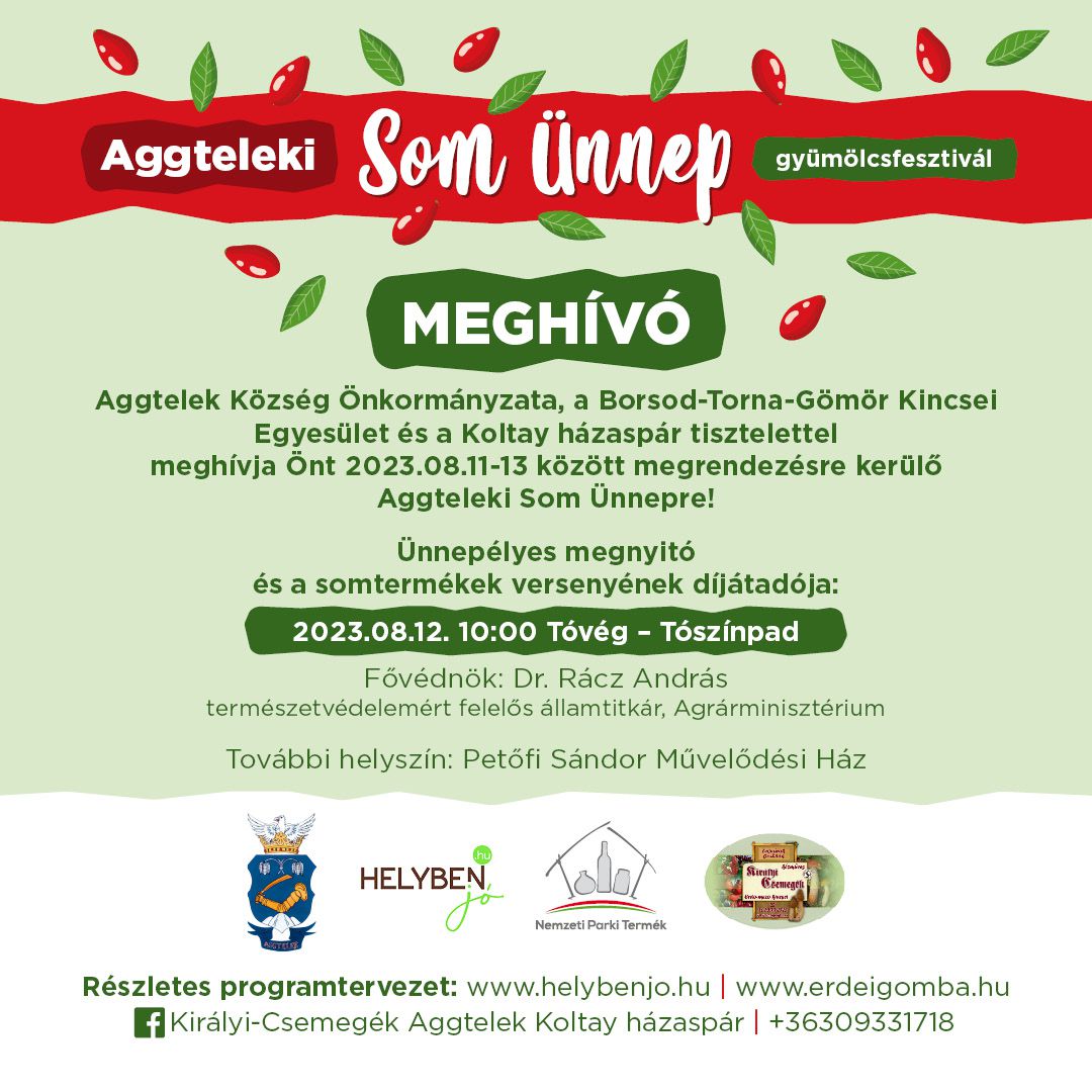 Som unnep meghivo